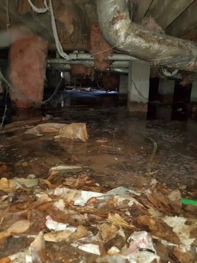 Crawl space flood assessment for Leak Detection & Repair in Eagle Lake