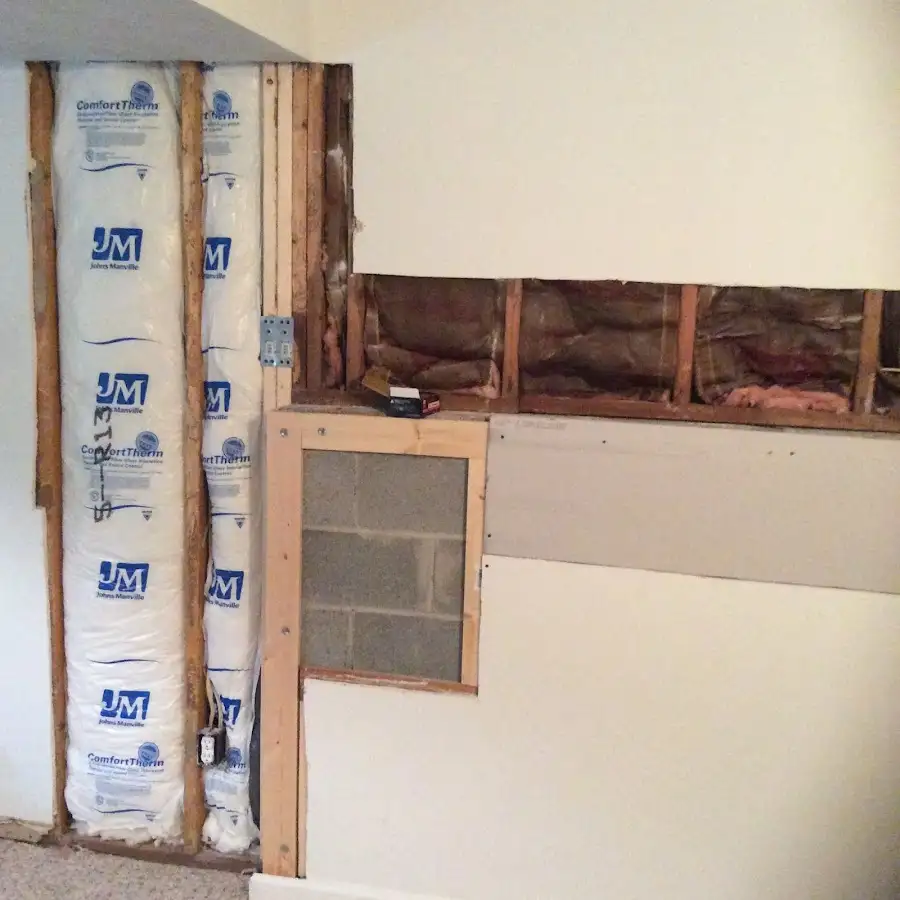 Wall insulation replacement during Odor Removal & Deodorization in Eagle Lake